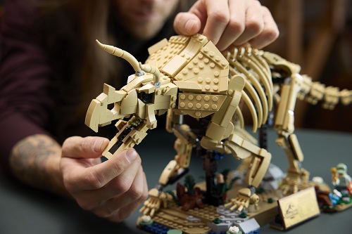 Detail na fosíliu dinosaura