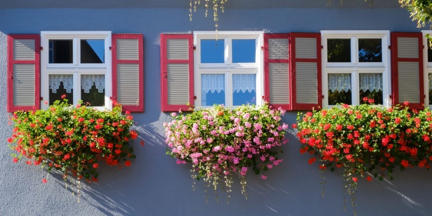 Letničky