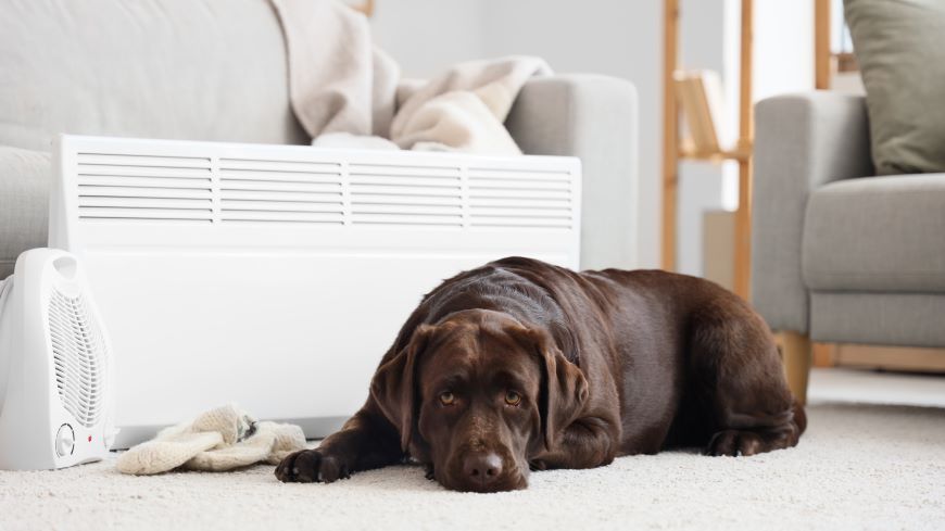 ako vybrat ventilator