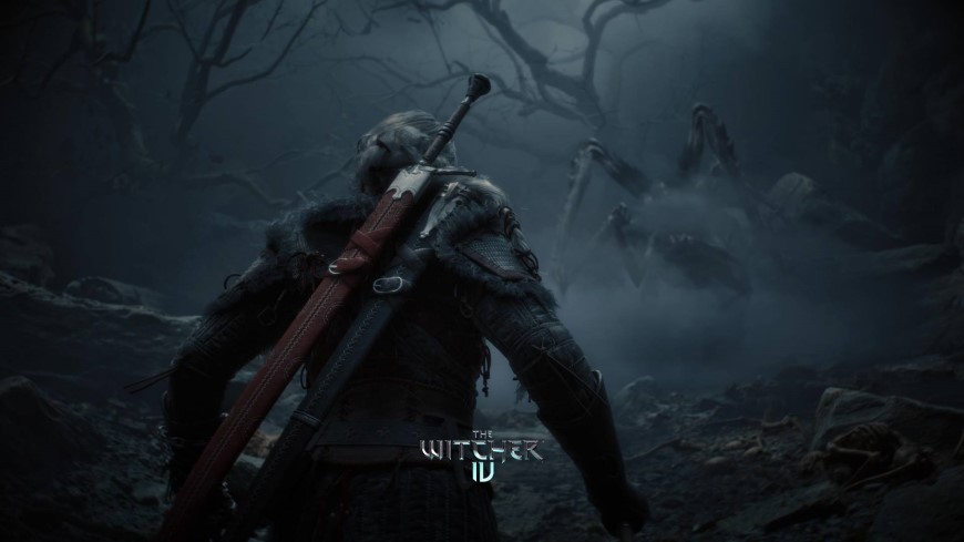 Witcher 4