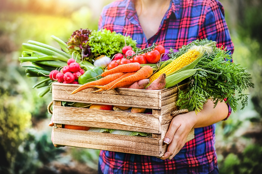 Žena drží drevenú debničku plnú čerstvej farmárskej zeleniny – mrkva, reďkovky, kukurica, jarná cibuľka a paradajky.