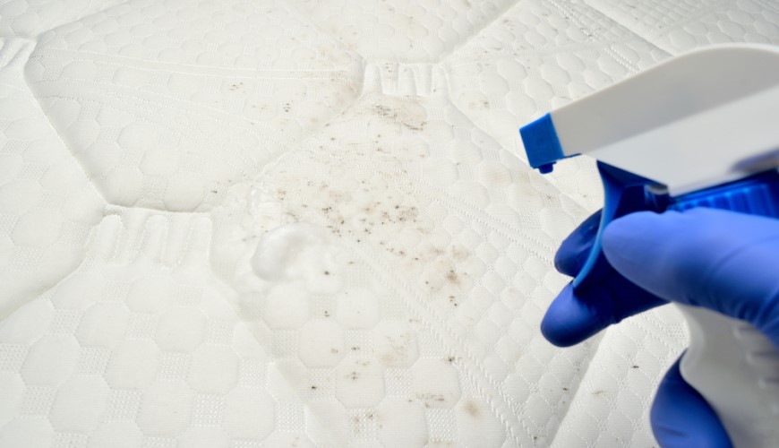 Ukážka spôsobu, odstrániť pleseň z matraca prostredníctvom predpripraveného saponátu