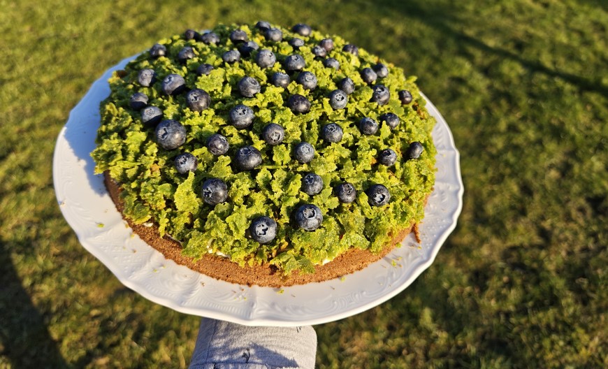 Torta so zeleným krémom a čučoriedkami odfotená na záhrade.