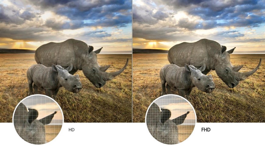 Najčastejšie televízne skratky a technológie Ukážka obrazu Full HD s nosorožcami v savane na obrazovke.