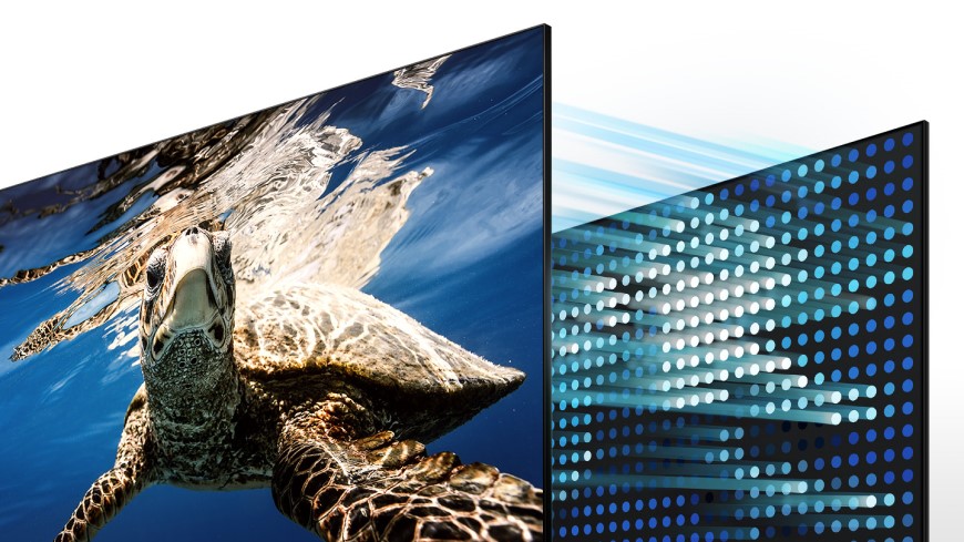 Najčastejšie televízne skratky a technológie QLED televízor zobrazujúci korytnačku.