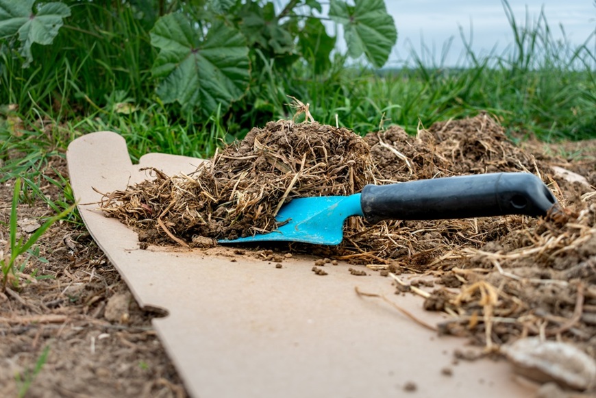 ☘️Eco-friendly záhrada: Ako správne mulčovať záhony kartónom ☘️Eco-friendly záhrada: Ako správne mulčovať záhony kartónom