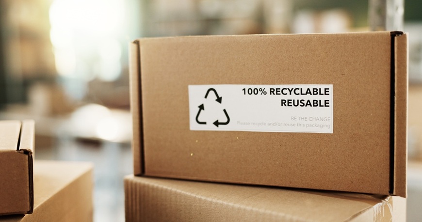 ☘️Eco-friendly záhrada: Ako správne mulčovať záhony kartónom ☘️Eco-friendly záhrada: Ako správne mulčovať záhony kartónom