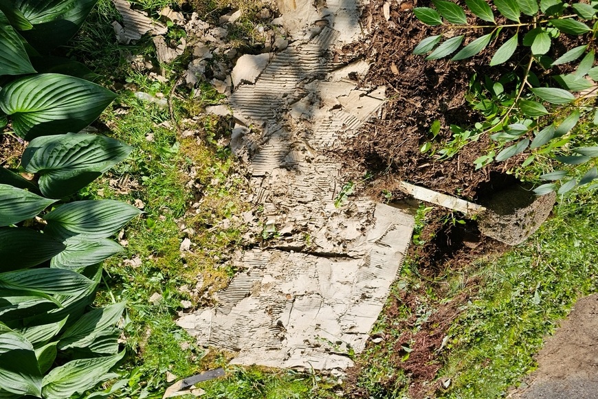 ☘️Eco-friendly záhrada: Ako správne mulčovať záhony kartónom ☘️Eco-friendly záhrada: Ako správne mulčovať záhony kartónom