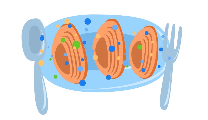 Mikroplasty v kuchyni: Kde sa s nimi stretávame a ako ich obmedziť Ilustrácia mikroplastov v jedle